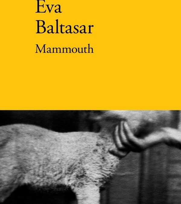 Mammouth
